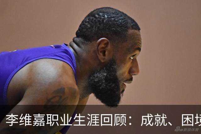 李维嘉职业生涯回顾：成就、困境与公众形象